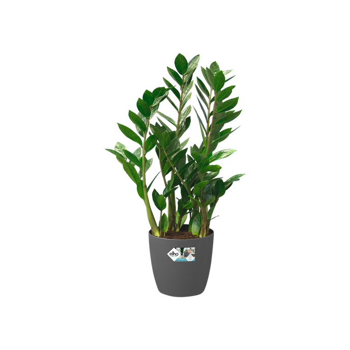 brussels rond roues 47cm anthracite